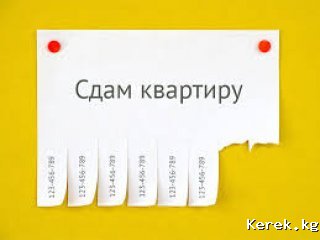 Сдаю 1 комнатную квартиру