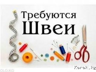Швеи