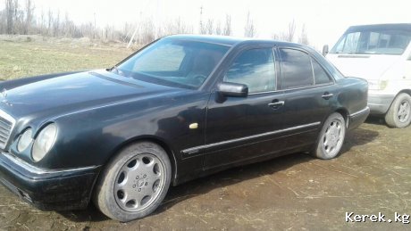 Мерс лупарик