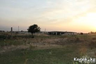 Продается Кошара 3*21 в Михайловских дачах в обществе АСЫЛ ТАШ