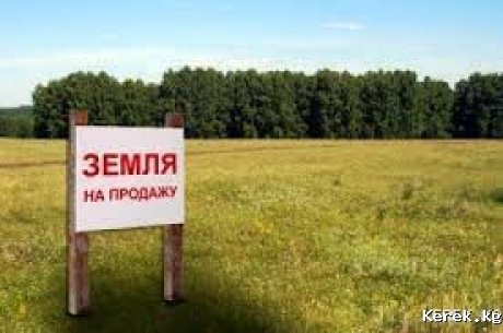 Срочно продается поливная земля в с. Липенка Жети-Огузского района