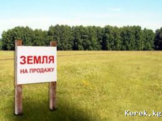 Черик айылынан 13 сот жер сатам