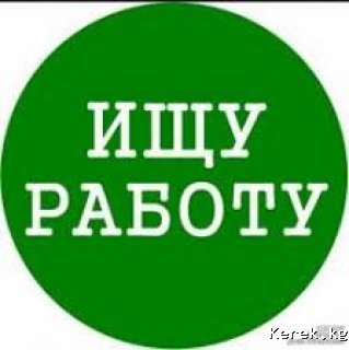 Ищу работу Владею языками.