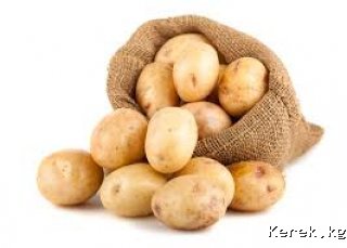 Куплю картофель в неограниченном количестве