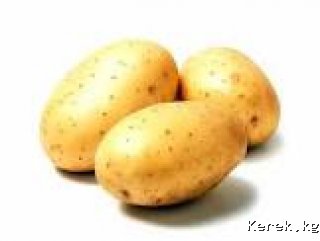 Куплю картошку