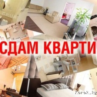 Сдаю 1 ком квартиру.