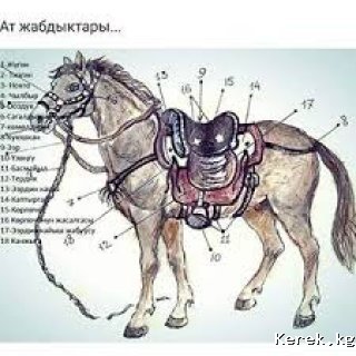 Кыргыз ээр жасайбыз