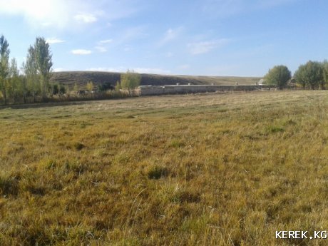 Продам Кашару