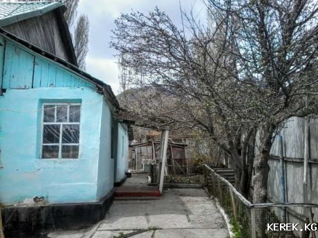 продается дом с садом на Ы-Куле(Тюпский район,с.Курменты)