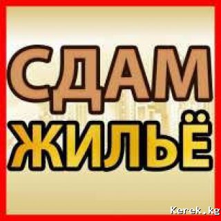 Чогу жашаганга кыз керек. Бардык шарты бар.