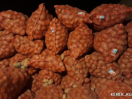 Продаю семена картофеля