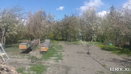 Продается дом в г.Каракол